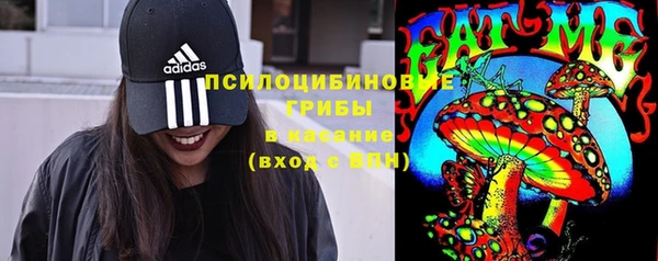 бутират Баксан