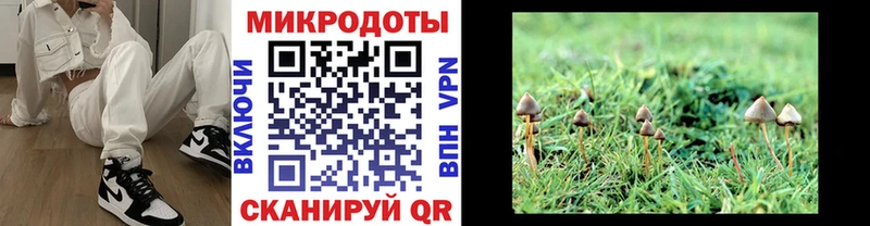 Галлюциногенные грибы Magic Shrooms  купить   Кондрово 